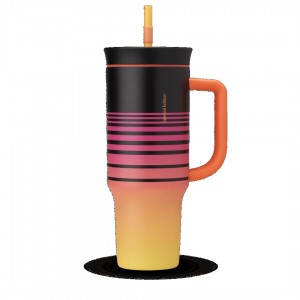 40oz Tumbler Owala 40oz Stainless Steel 8 West Coast | MX L6311I