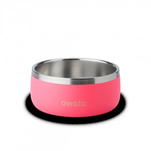 Pet Bowl Owala 2 Hyper Flamingo | MX T6392C