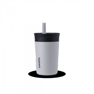 Tumbler Stainless Steel Owala Tumbler Stainless Steel 13 Fin Tastic Gray | MX X6365Y